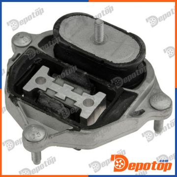 Support de boite de vitesse arrière pour AUDI | ﻿ZPS-AU-001, 8K0399151AQ